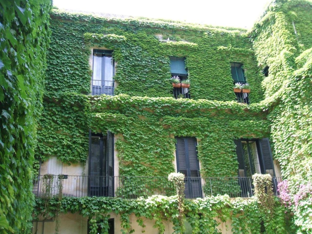 Palazzo Rollo Bed and Breakfast Lecce Eksteriør billede